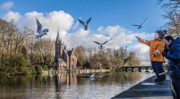 Brujas