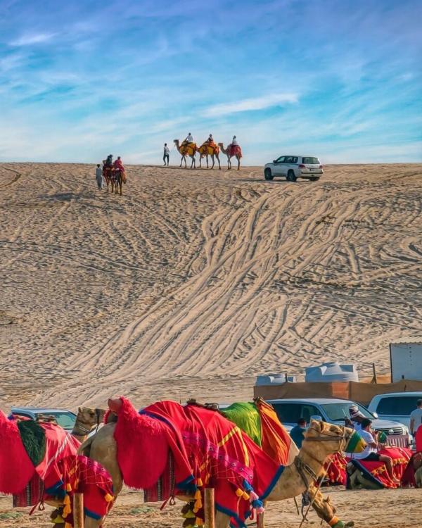  El desierto