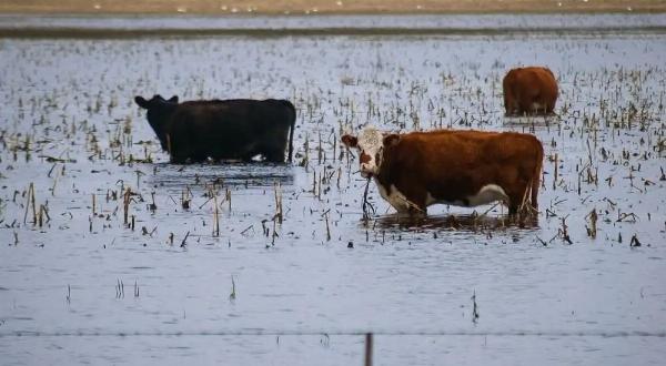 La Provincia presentó un plan de contingencia interministerial ante el impacto del fenómeno El Niño